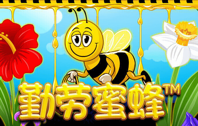 三亿体育平台入口